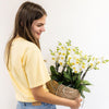 Witte plantenset in Cotton Basket incl. waterreservoir | drie witte orchideeën Lausanne en drie groene planten | Jungle Bouquet wit met zelfvoorzienend waterreservoir