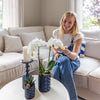 Set van witte orchidee Amabilis en succulent in Candy sierpotten blauw - potmaat | bloeiende kamerplant - vers van de kweker