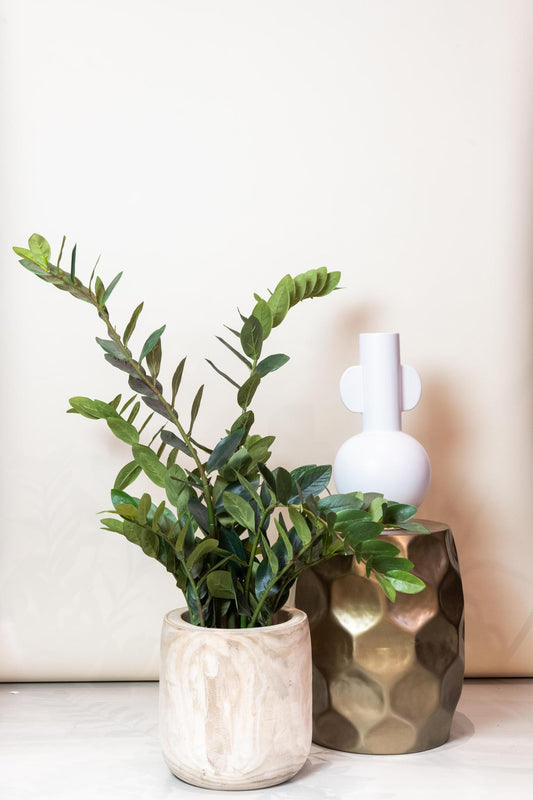 Kunstplant - Zamioculcas - Kamerpalm - 110 cm