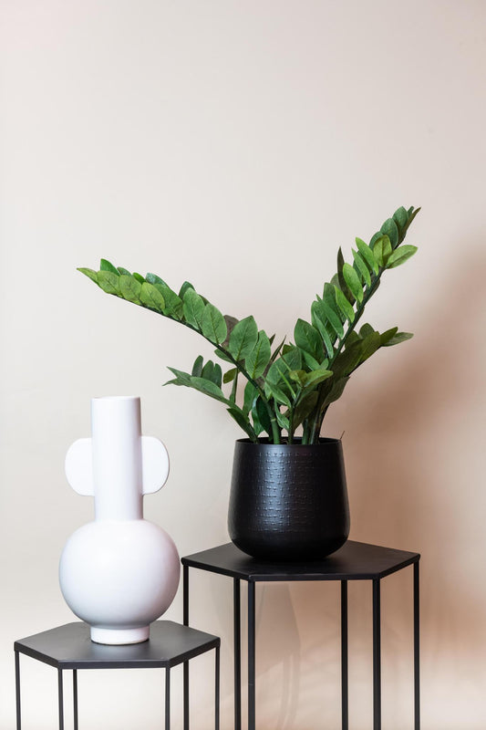 Kunstplant - Zamioculcas - Kamerpalm - 70 cm